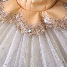 #TT14B New Color!!! Professional Hook and Eye- Classical Pancake Tutu